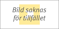 Håndtak Malen - Rustfritt Stål Finish i gruppen Håndtak / Farge/Materiale / Rustfritt hos Beslag Online (Handtag-malen-rostfri)