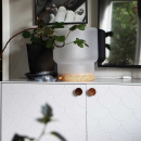 Knott Olympia - Valnøtt