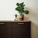 Håndtak Rattan - 160mm - Børstet Messing