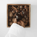 Knott Circum - Valnøtt